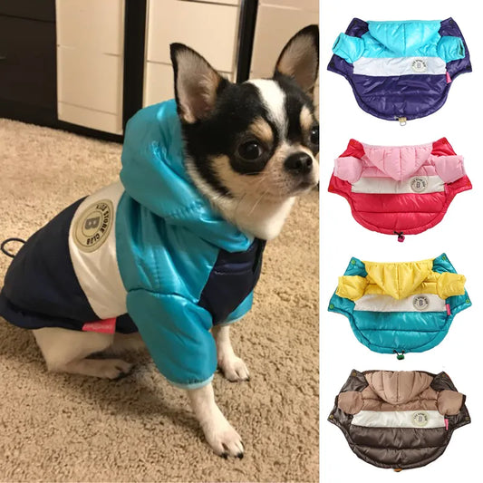 Dog winter puffer jacket outdoor with button and adjustable waist cord lock for small medium dogs