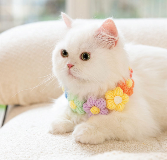 Crochet knitted multiple flower collar for small dogs and cats