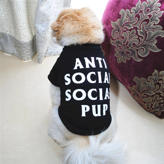 Anti social social pup black T-shirt for small dogs