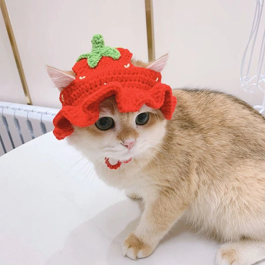 Crochet pet hat with tie strings for cats and small dogs