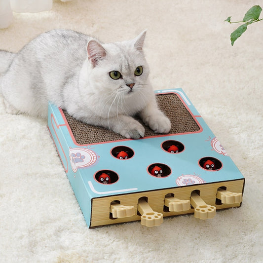 3 in 1 Interactive Cat Scratching Board Pet Play Boredom Scratch Toys for Cat Gifts Presents